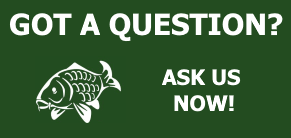 ask a fishing question